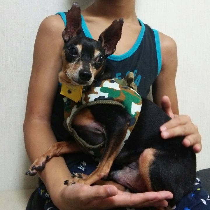 D940853e 27ed 418b a01b 75e3c3e06101