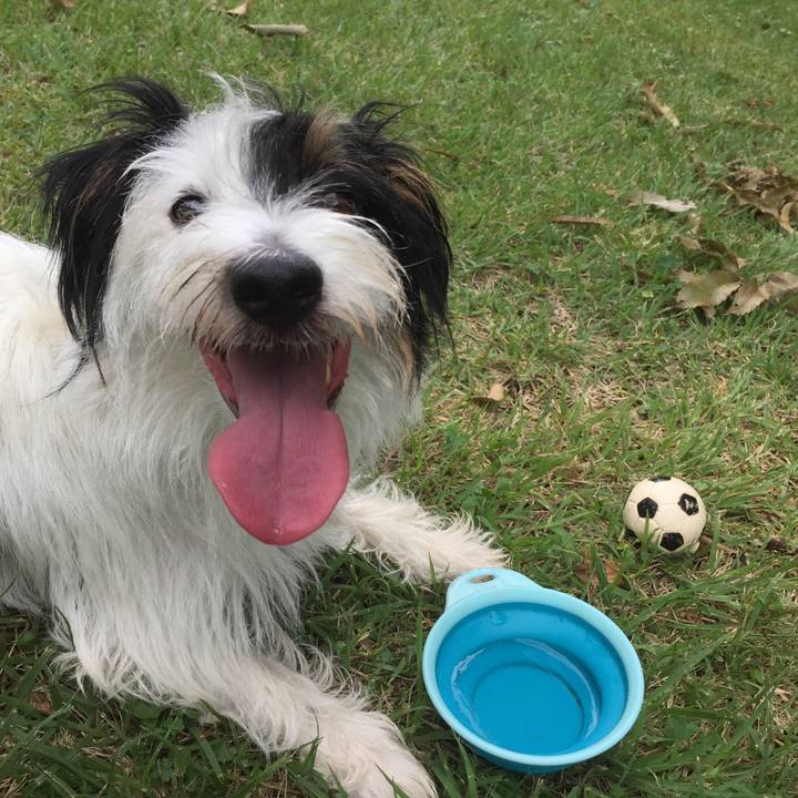 D9416e41 e921 4cc2 85ab c0d49491663f