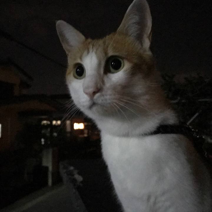 D9417d22 d024 407c a592 00372fb804d6