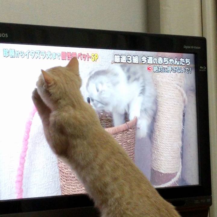 D941be6e e609 4088 94cc bb56812bae12