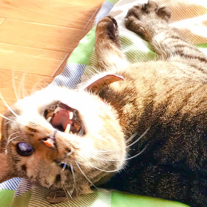 D941fca8 150f 4b4b a84a e1353e7a2292