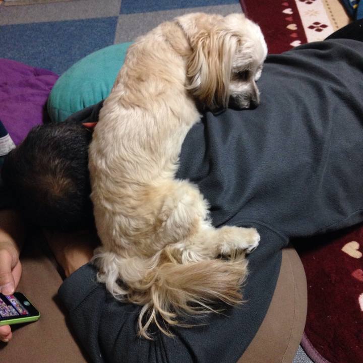 D94204fd feec 41f5 9851 4275d01511d6