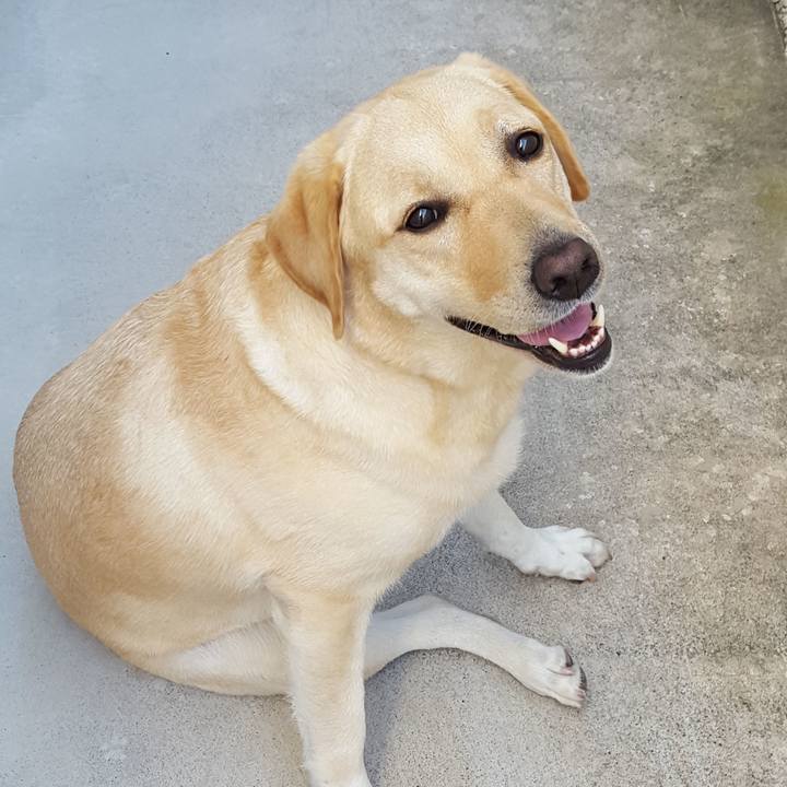 D94245f1 8763 4f9f aafb 1ec8a2f389c1