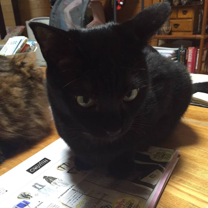 D9425446 f53a 4387 878b 8042af4d2d13