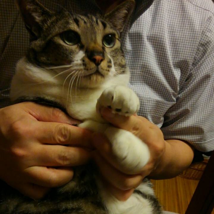 D9427208 ddc1 49b6 a8e6 8a7865a99946