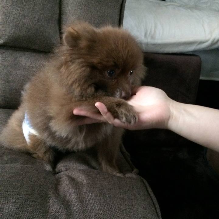 D942743e 3a03 44e6 b3ec b80bae707030