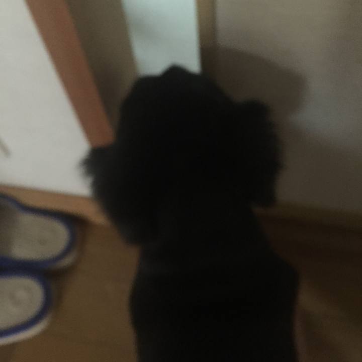 D94325f9 86ce 47d0 8e70 338fadc8443c