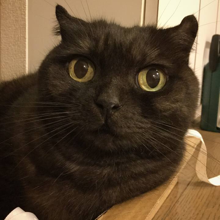 D9432c5e 6e2a 4499 8505 3cf128b91b1d