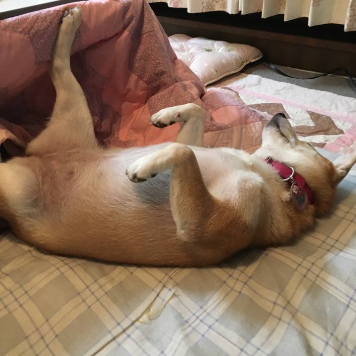 D9435b22 2342 4402 b892 99b165d00163