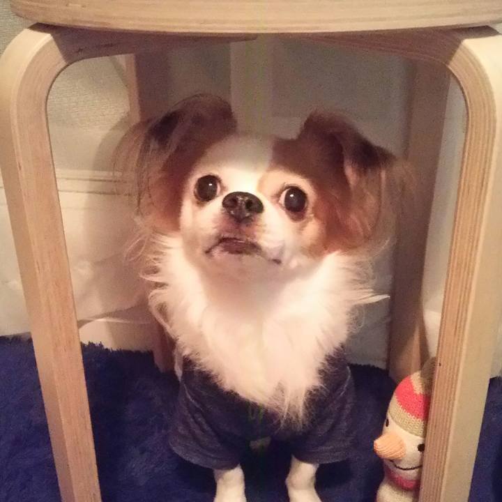 D94380f6 7623 461e b175 e9ba6af33ac8