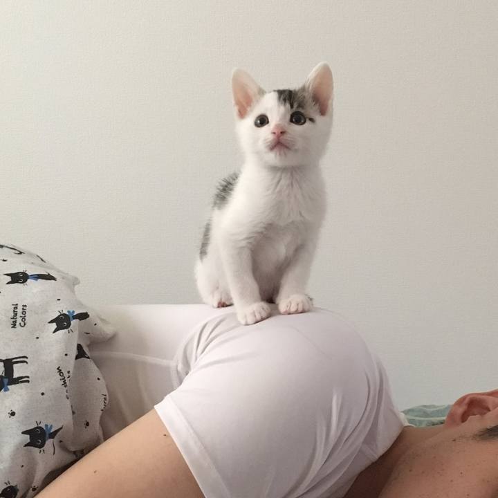 D943ebe6 ad07 4e56 8eb7 ff9c1576b743