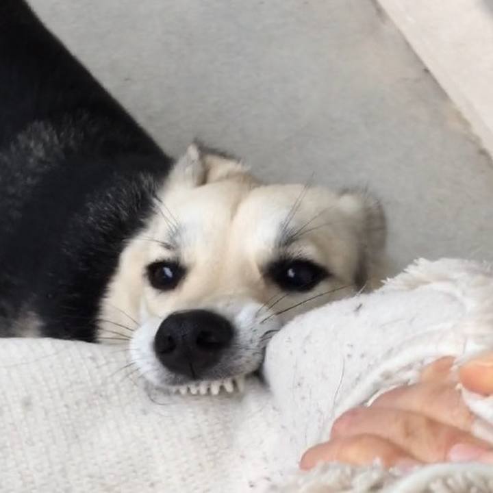 D9445466 c029 456e 9f97 65139f4fdf30