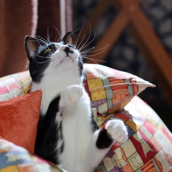 D944712e a172 4e56 8ef3 0d5b72c2c159