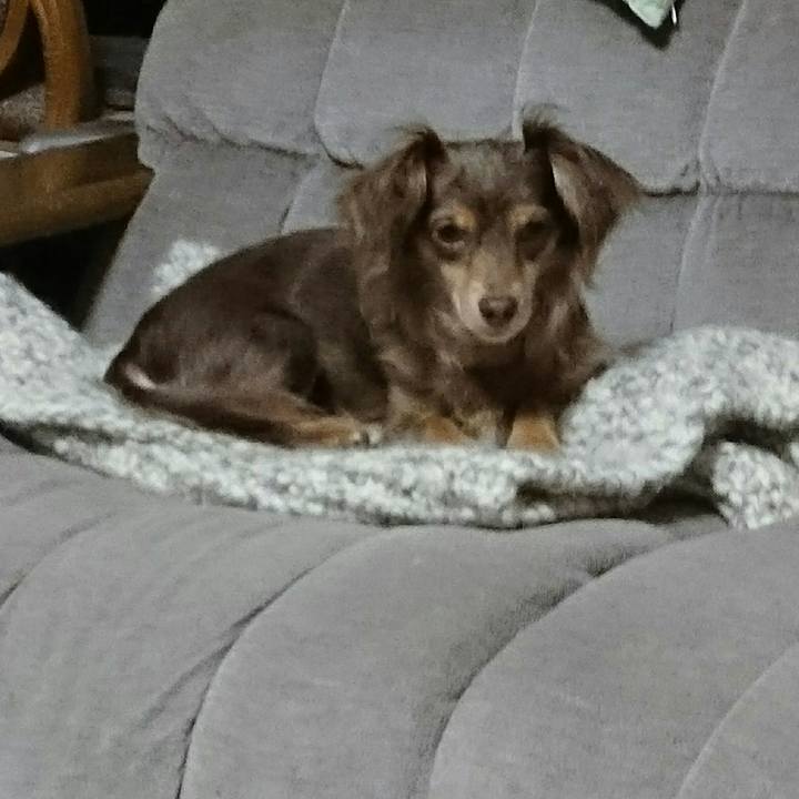 D944ec31 e15a 426d b501 6b21e6b39ba2