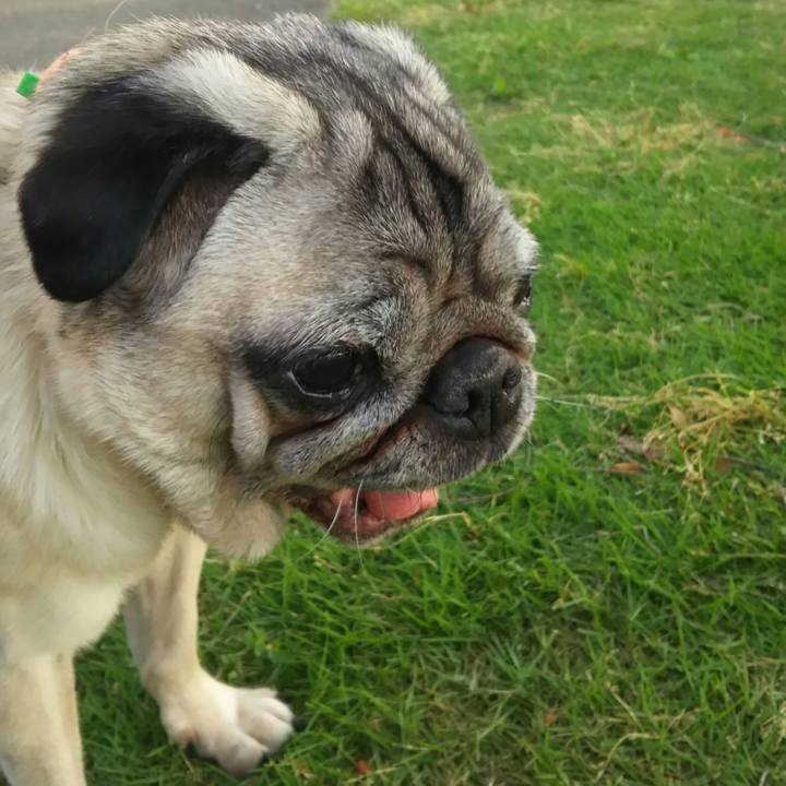 D9452e91 e88e 4cce 9e90 db525f7daf93