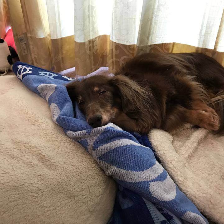 D9454783 0872 450d 93fd b3ad49c36fd6