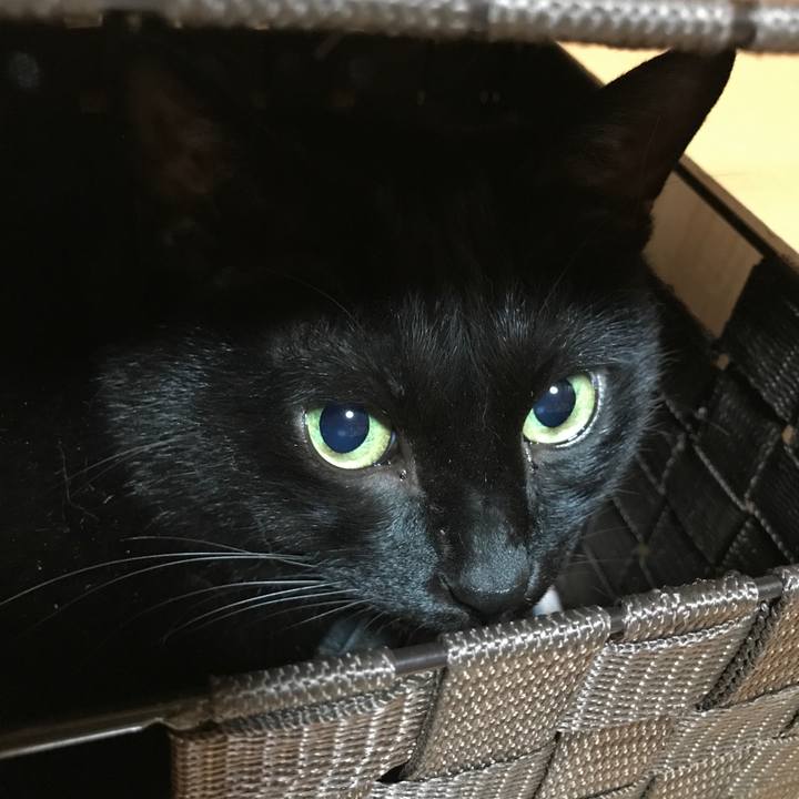 D94639c3 8684 4f7e ae17 376abcedadcf