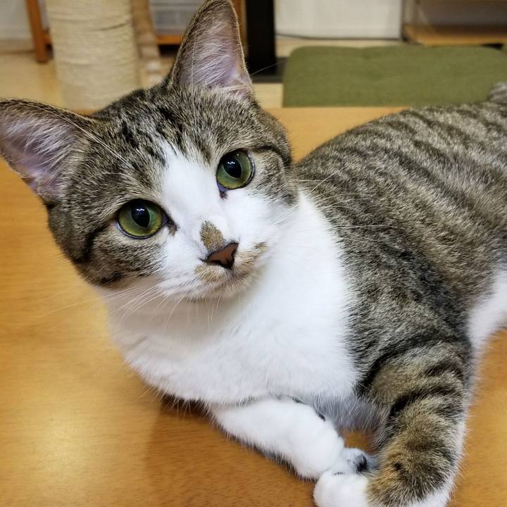 D9464d3a 8826 416c 9e13 8e7852500be9