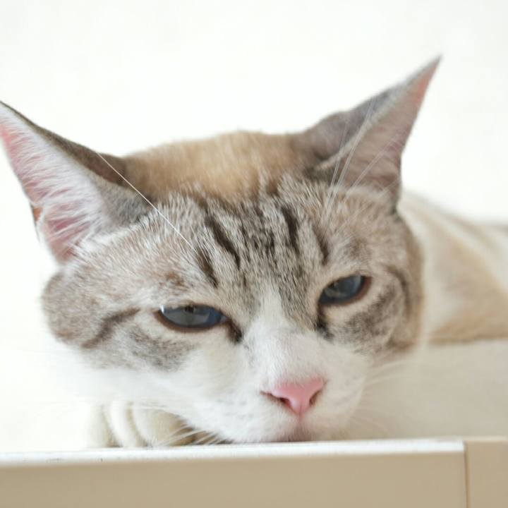 D9467053 a2db 4e01 9b78 fd034d447f81