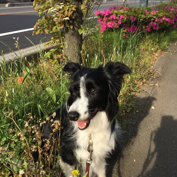 D9467bfe e874 4ddc 8769 0f10e8b149b3