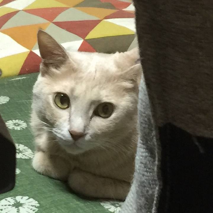 D9478b5b e0ea 4fab 9019 557f6b47cbd8