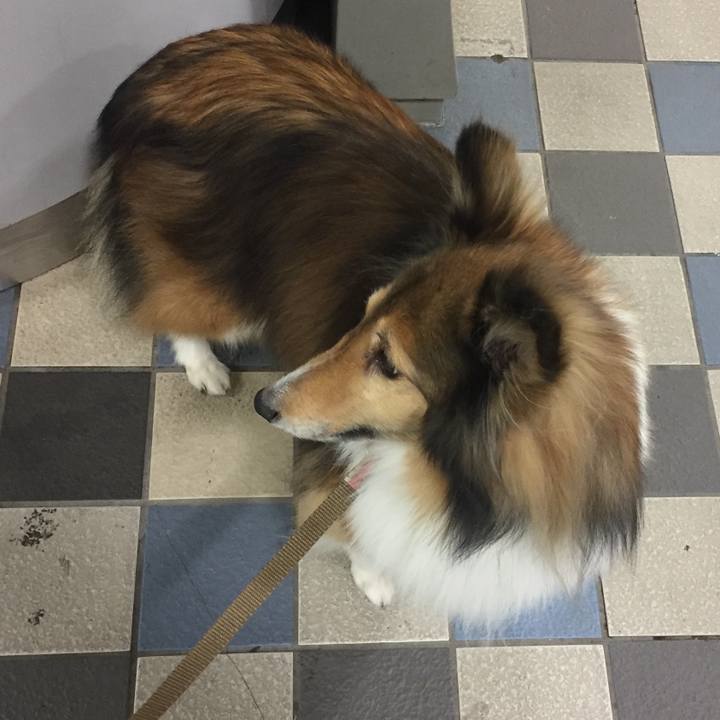 D947d780 e0d6 4b3a 8dea d695045131b5