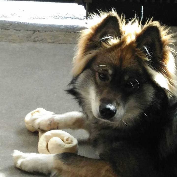 D9482adc 3778 4a21 83ac af422bee4205