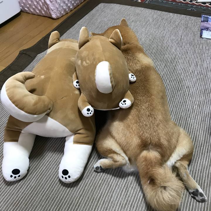 D948464f 7eb6 4197 a17b b5b287ea5c43