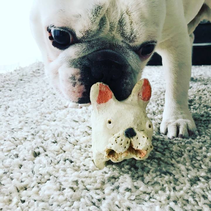 D948505d 2d9d 4a0f a42c 6c4f85b204db