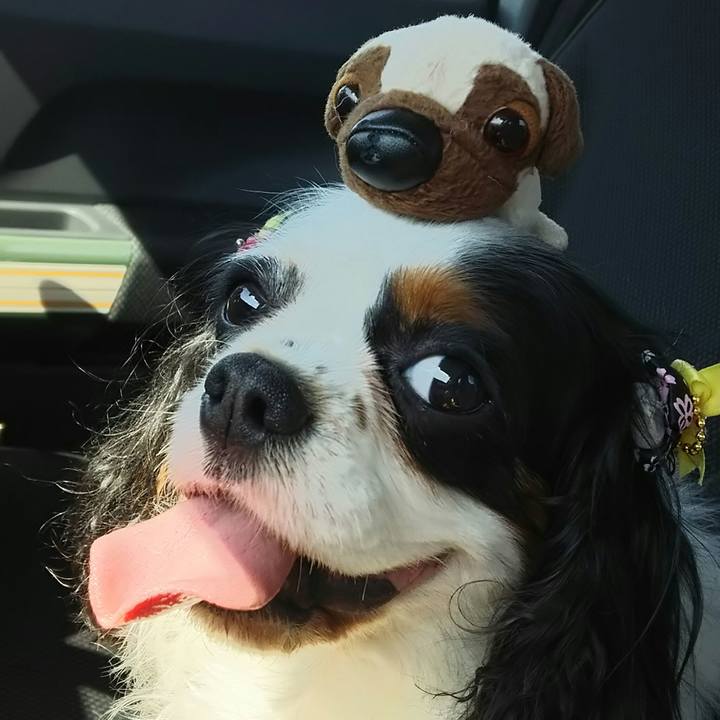 D94889d2 e067 48ac b484 10c8d954212b