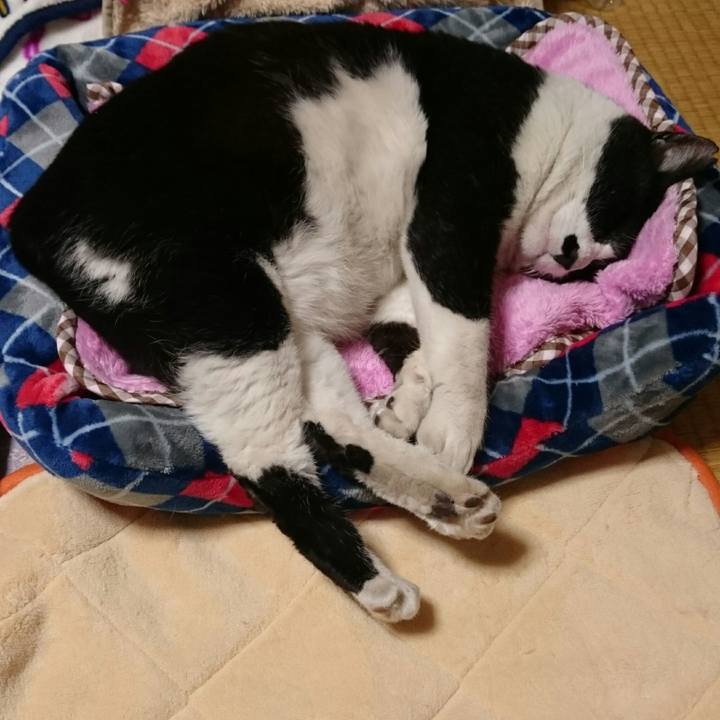 D948a6fb edf1 462c 9770 619fc700b7b4