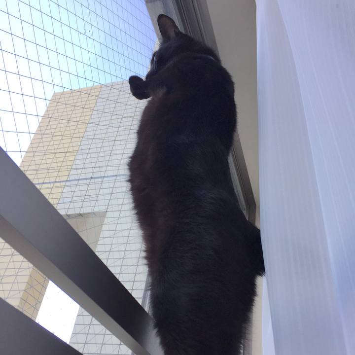 D9492d11 98f1 40d7 8598 15f33ff3d72a