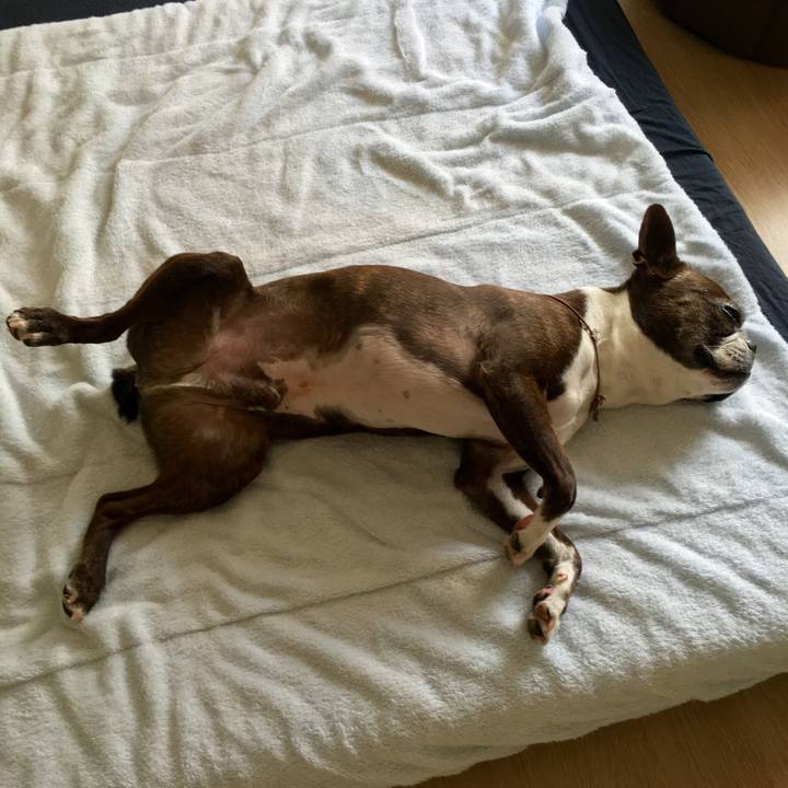 D9493ff8 92e2 4885 ba18 e8ab36f5834d