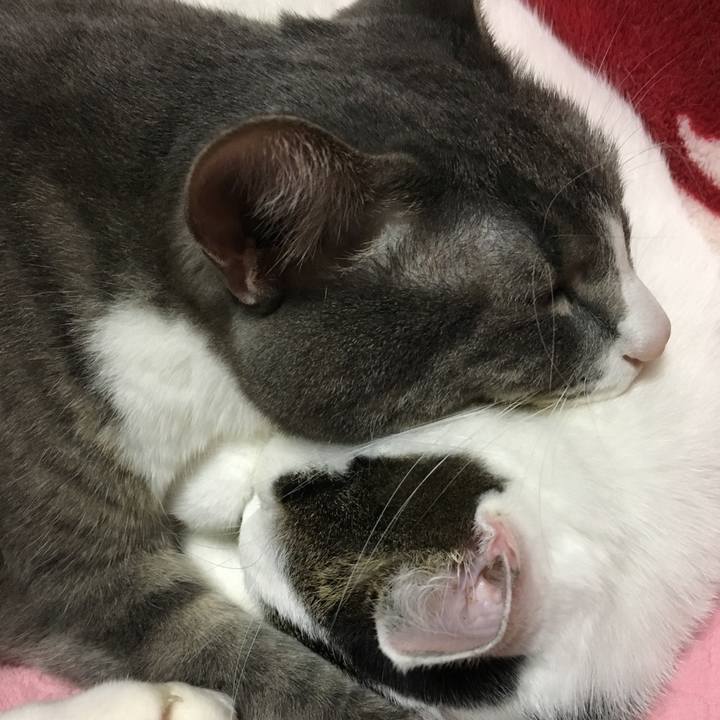 D9495495 4b7f 4d2c b085 fa4c9112c5a0