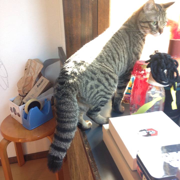 D94974f8 3afb 48fc aca7 1eef5f61f659