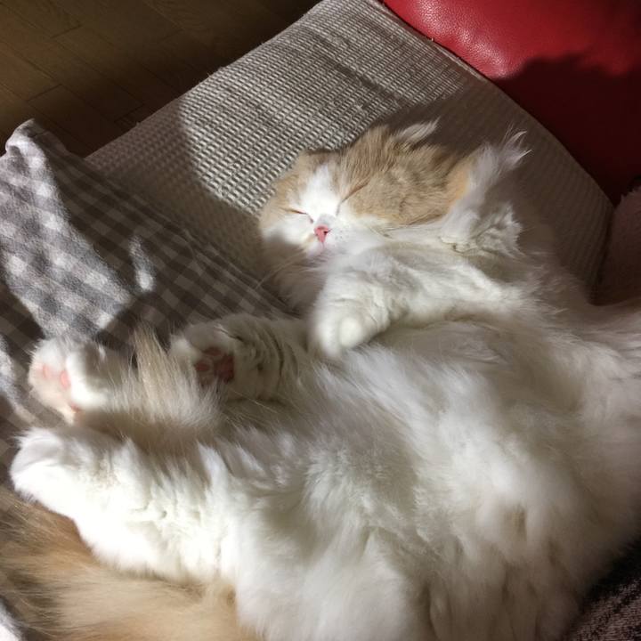 D949e7db 92c4 4f00 8e10 15faa9b05f40