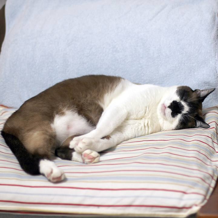 D94a2525 7820 4201 8949 4ad9d1559bb4