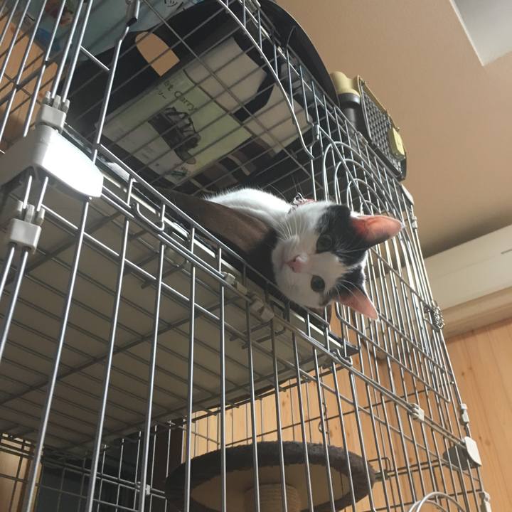 D94ad93e aa5f 4eac ab82 e5ad406e2fda