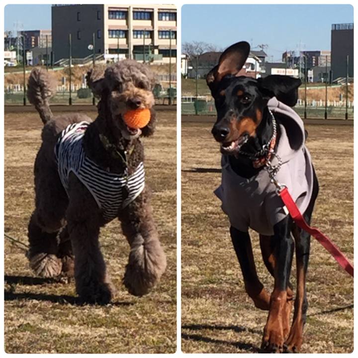 D94b50be be81 42c0 808b e50ff3fd9d22