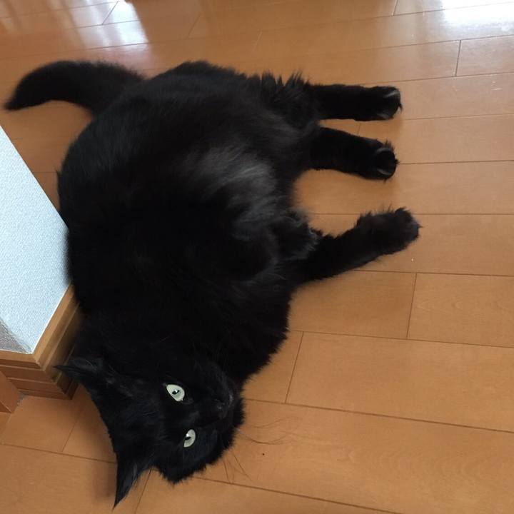 D94c0281 6ceb 4ac4 8608 8ecbe0a9c98b