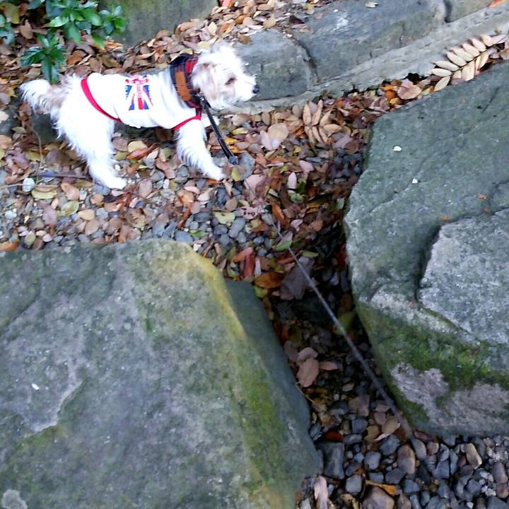 D94cc5aa a7f5 4ef0 86a0 ddf9c1e276da