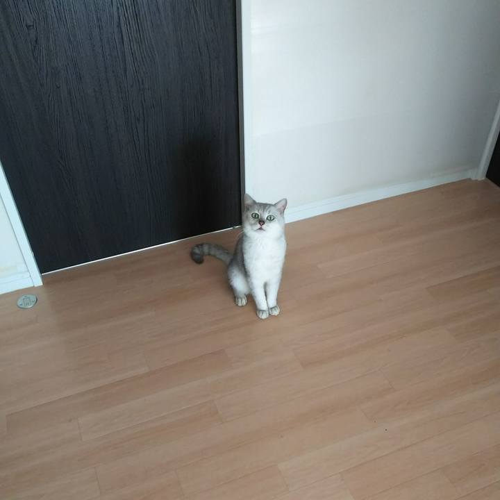 D94cd8bc b730 4e23 8936 3b77e885440e