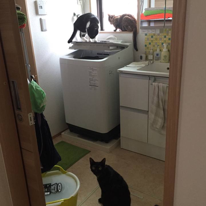 D94d1ca1 3de8 44c8 9cd8 79a1e19f5cba