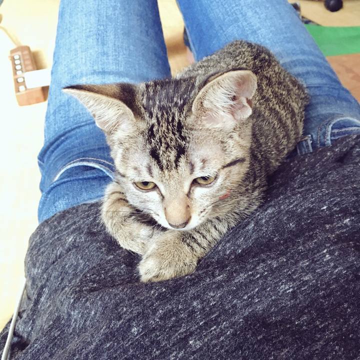 D94d441a 69cb 48d3 9ea5 474c5e324ec4