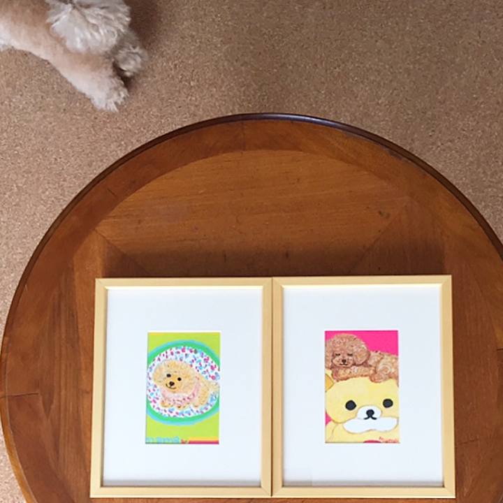 D94d6df1 c6a8 481e a6cc a8f471ee7df6