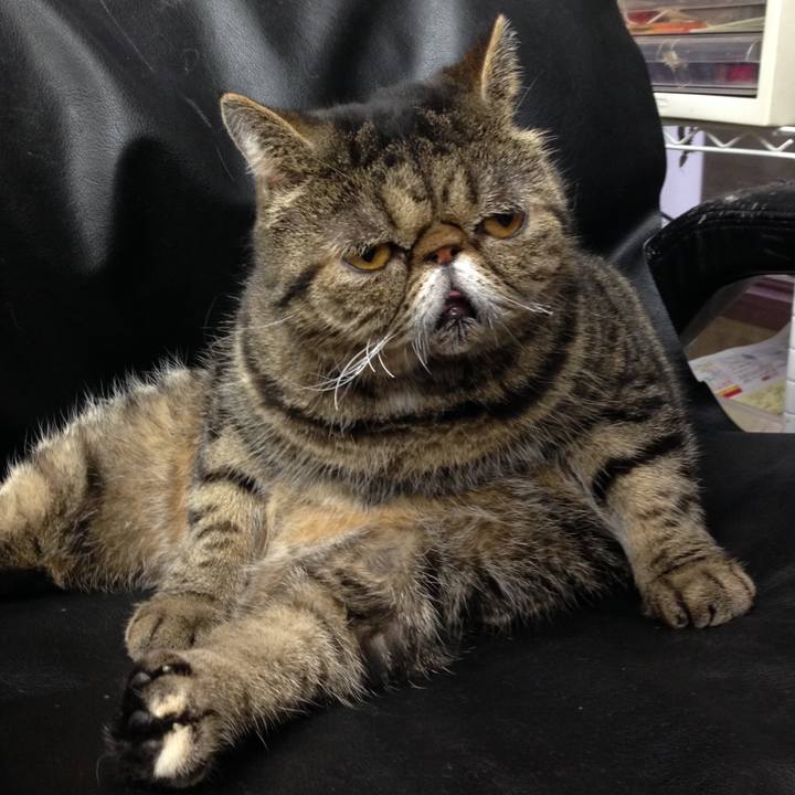 D94d7e04 06a0 4eb0 8aef f77517f80e13