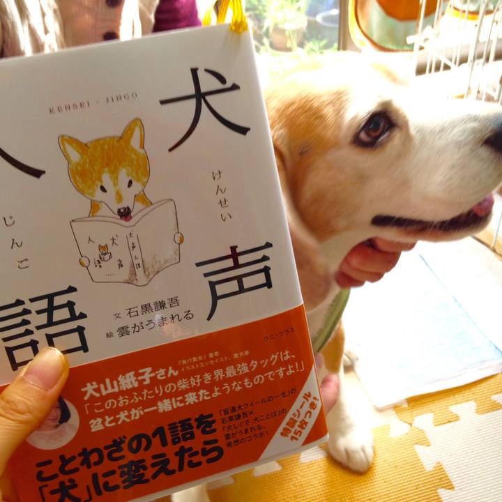 D94da989 0a28 4975 8413 1b43414f48db