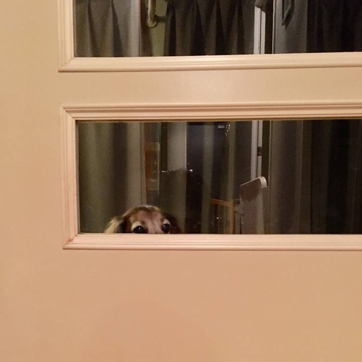 D94dda2e 4651 46c0 98ec ea785db1c403