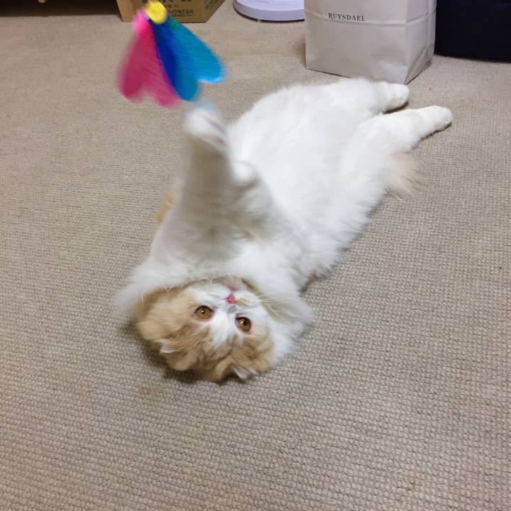 D94dee3a 8912 4482 a241 e249f720d03f