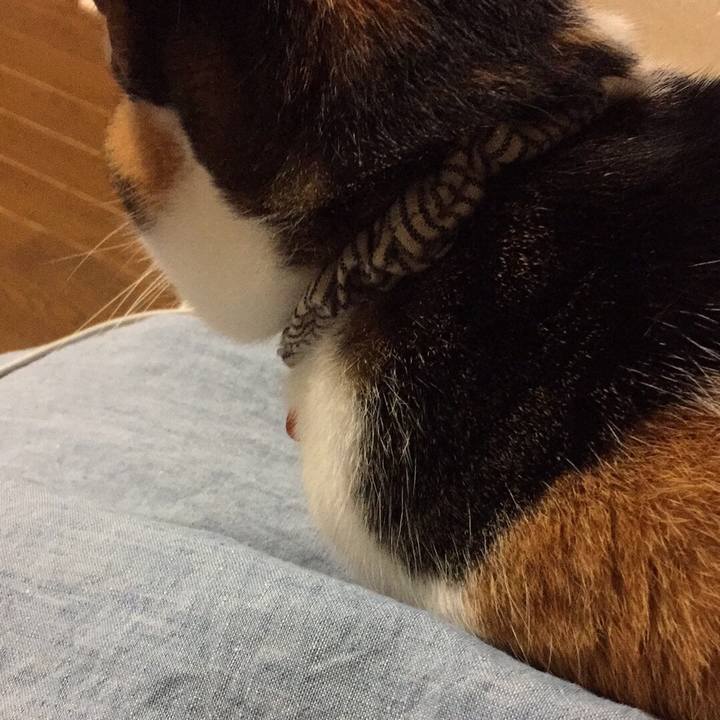 D94eee05 e732 47f7 8a48 4408f34f6b15